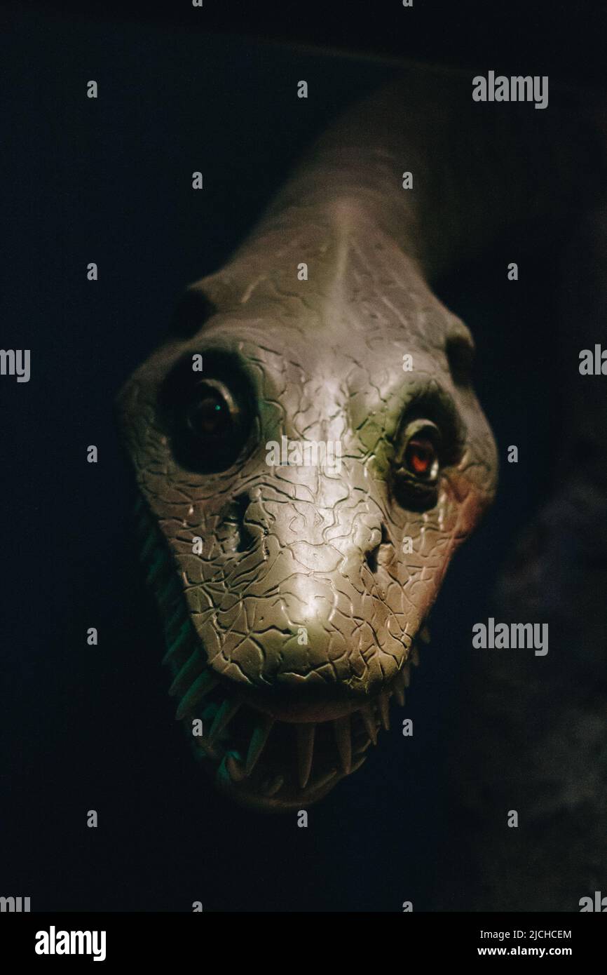 Enorme testa di dinazauro artificiale sul muro. Occhi enormi Foto Stock