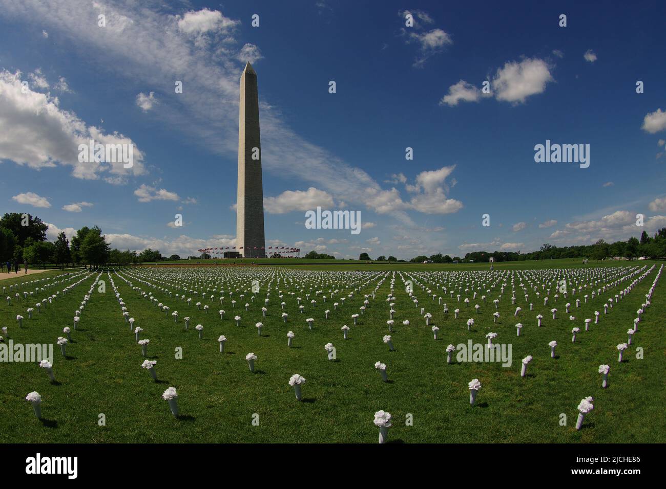 Il 6 giugno 2022, il gruppo Giffords ha installato 45.000 mazzi di fiori sul National Mall per commemorare le vite perse a causa della violenza delle armi negli Stati Uniti Foto Stock