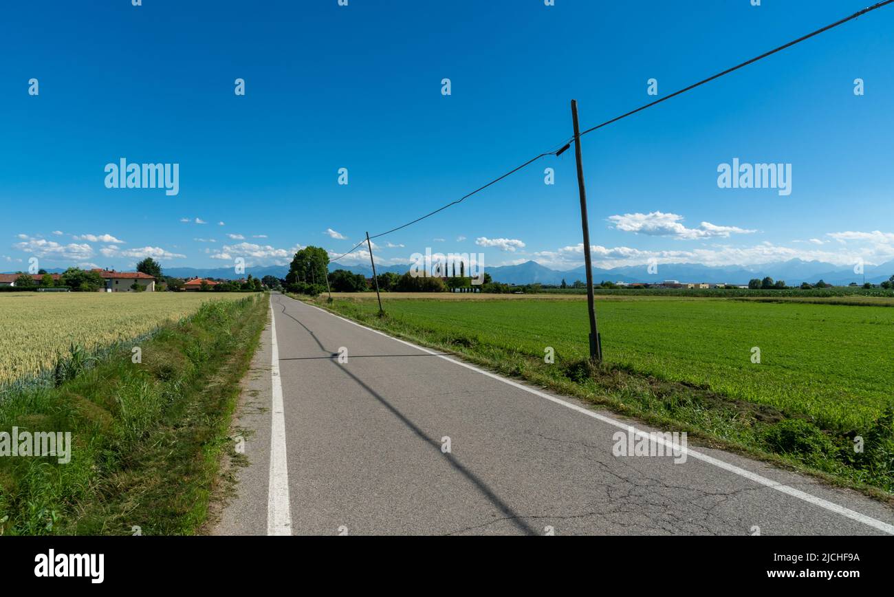 Strada di campagna con linea telefonica con pali in legno su cielo blu, campagna della pianura della provincia di Cuneo, Italia Foto Stock