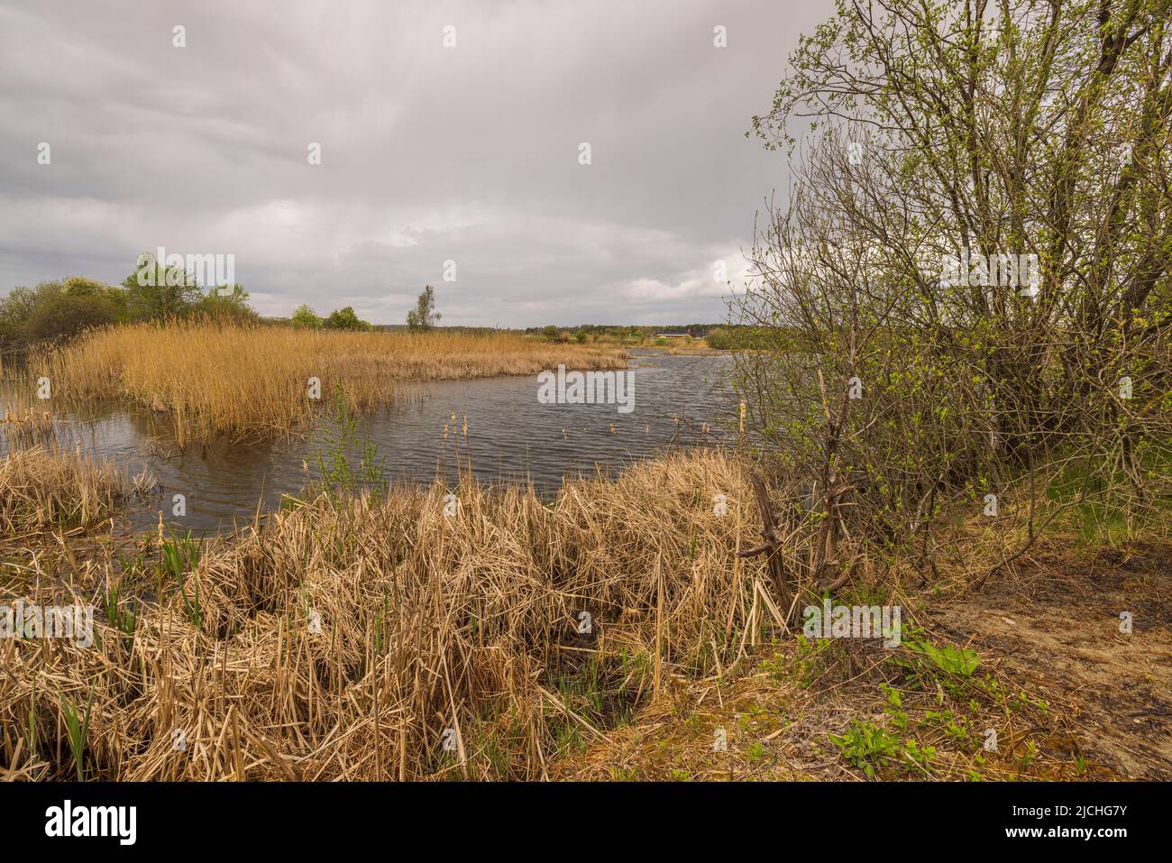 Bella vista del lago con erba secca alta in nuvoloso primavera giorno. Svezia. Foto Stock