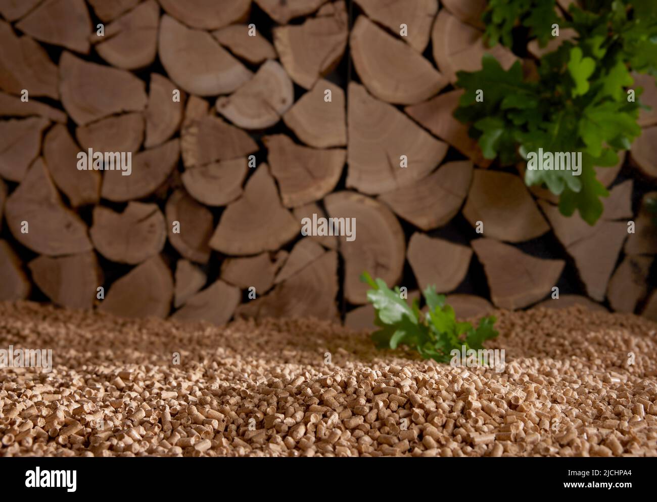 Foglie di quercia verde su cumulo di pellet di combustibile sparsi vicino a pila di pelo di legno tritato alla luce del sole Foto Stock
