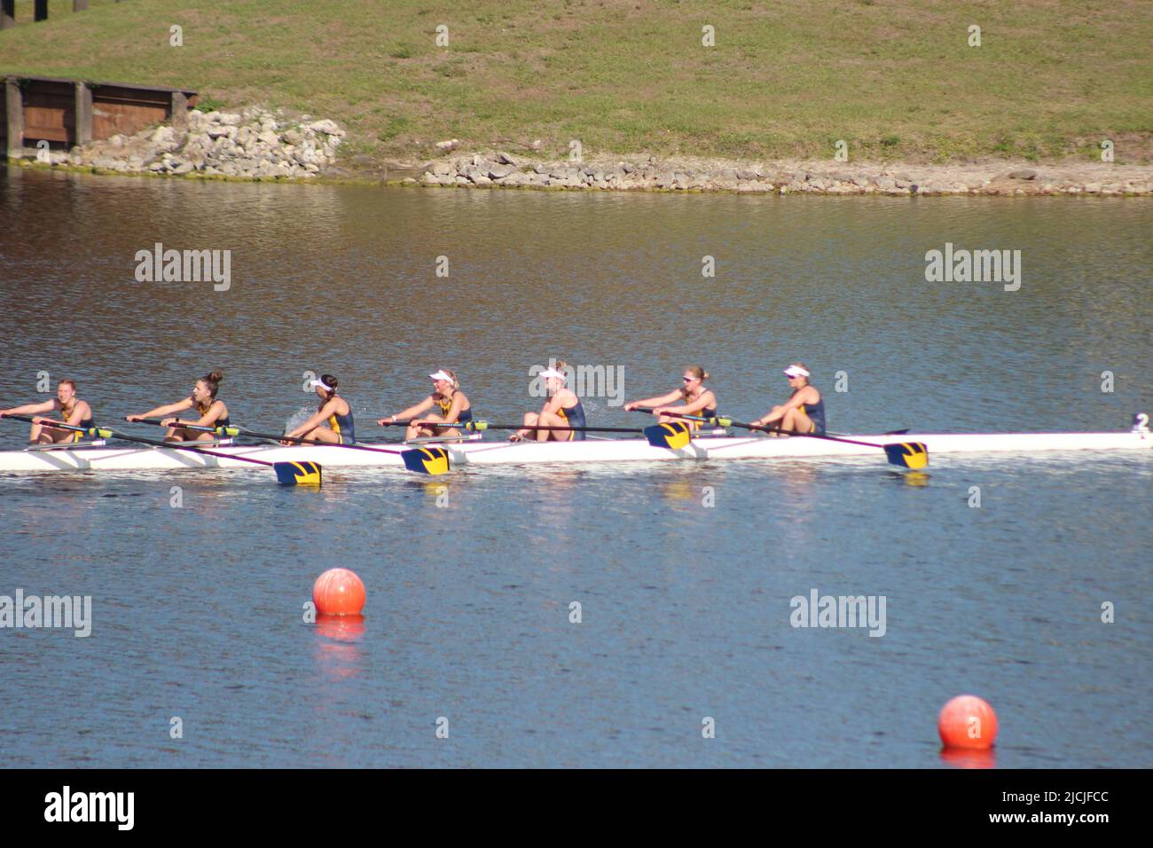 2022 University of Michigan Womens team a Big Ten gara di regata invitazionale Sarasota Florida nathan Benderson Park equipaggio 4 8 persone barche veloce Foto Stock