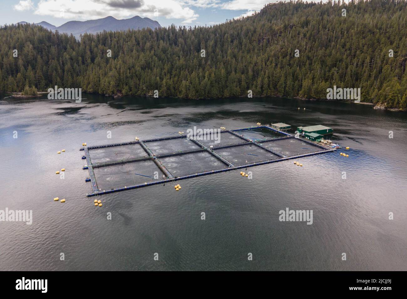 Allevamento di salmone nella costa sud-occidentale dell'isola di Vancouver, British Columbia, Canada. Foto Stock