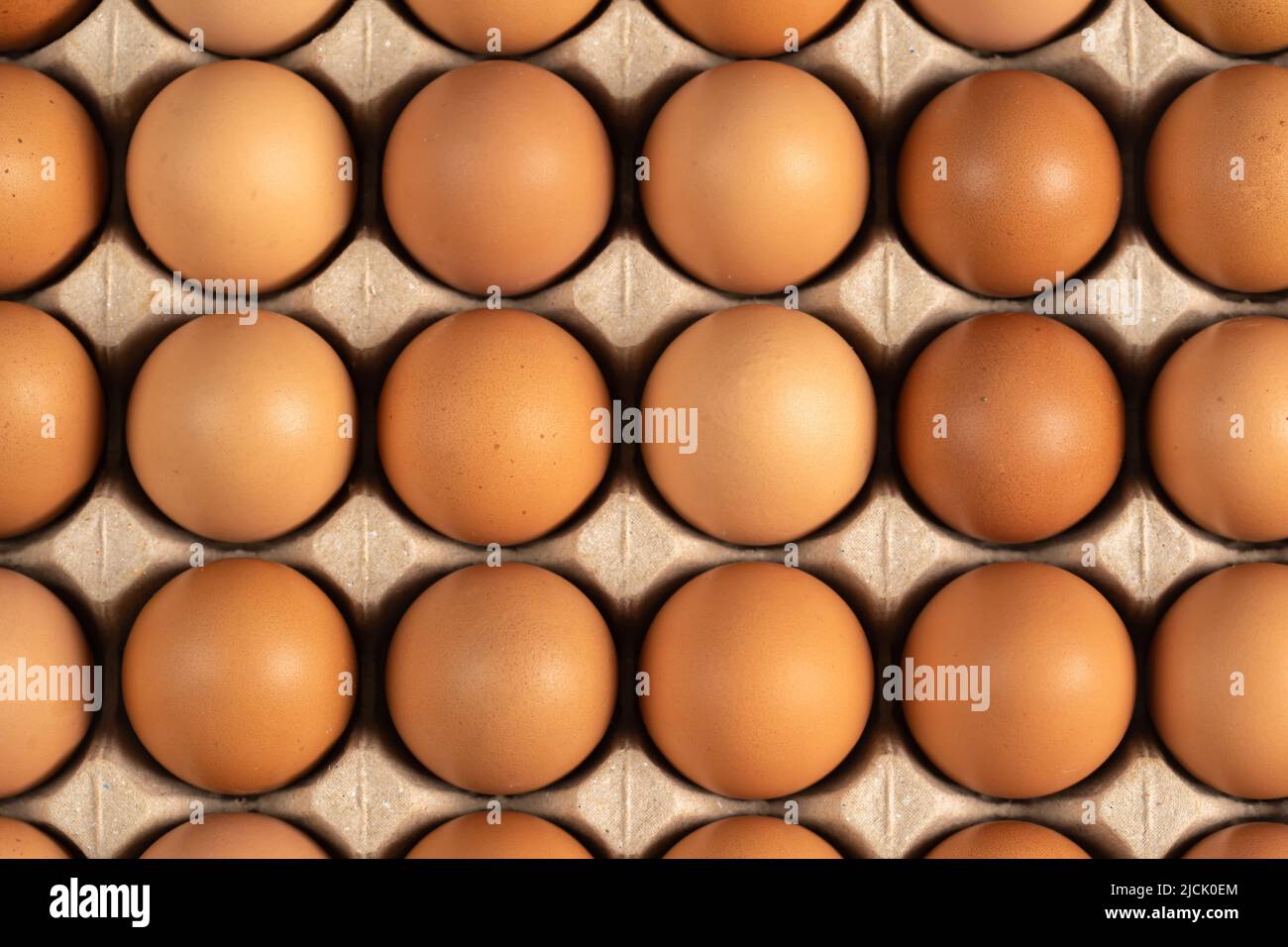 uova di pollo fresche in cartone Foto Stock