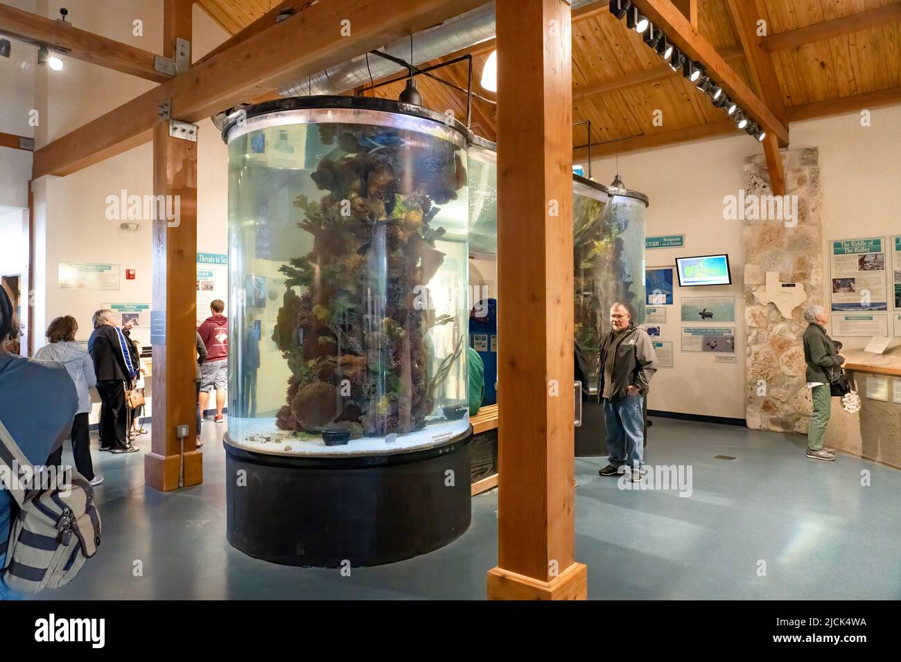 Un grande acquario di acqua salata nel centro visitatori di Sea Turtle, Inc. A South Padre Island, Texas. Foto Stock