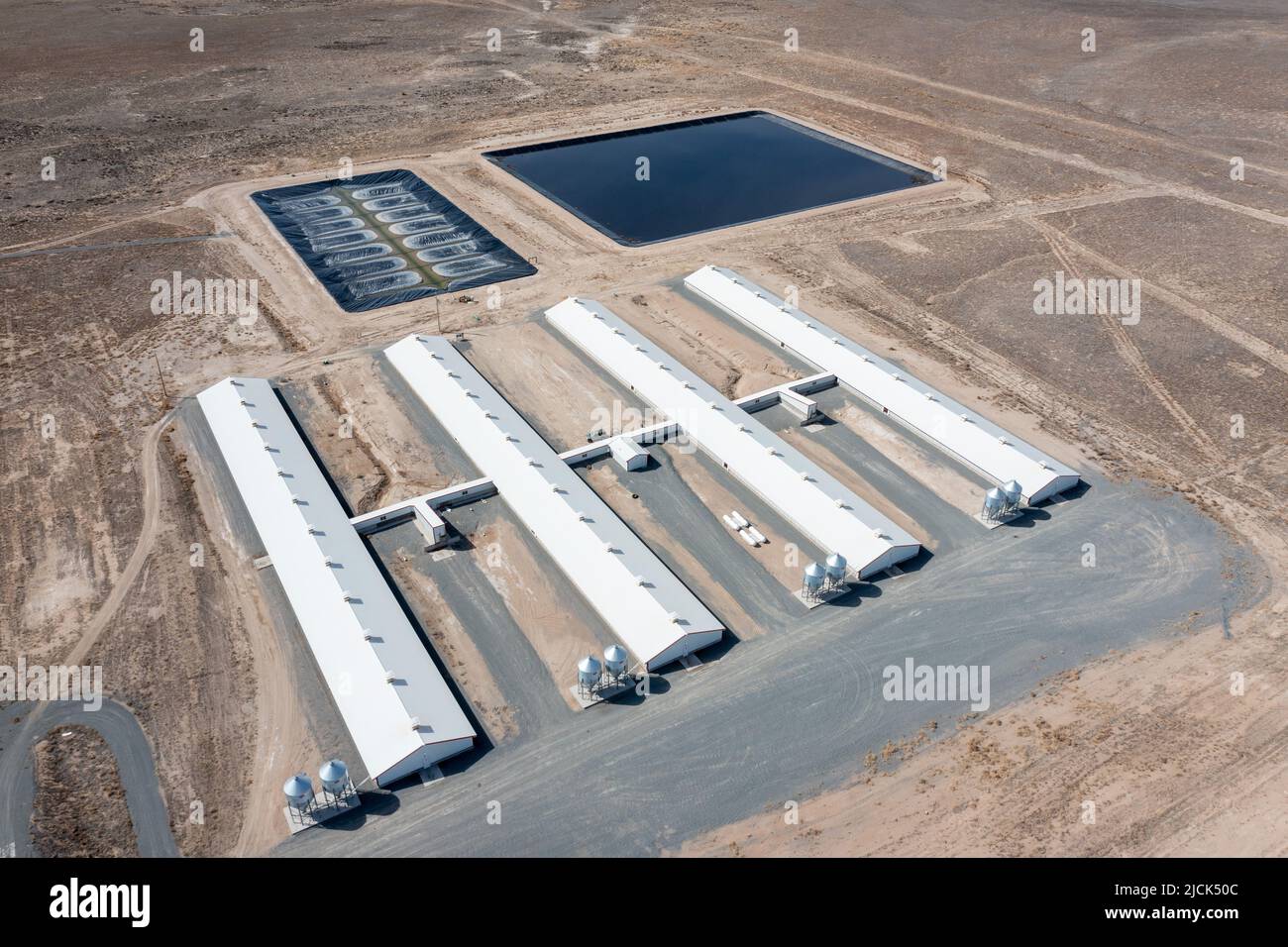 Un impianto di allevamento di zoccoli Smithfield Farms con lagune per convertire i rifiuti di zoccoli in biogas ad energia rinnovabile. Milford, Utah. Foto Stock