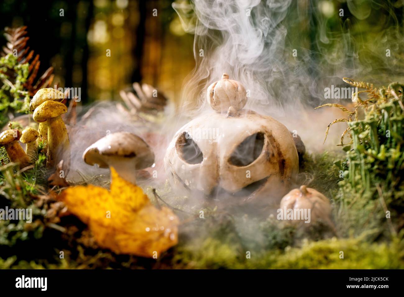 Halloween fiaba atmosfera magica autunno nebbia foresta sfondo. Ceramica Jack-o-lanterna su foglie autunnali, muschio e funghi selvatici intorno. Foto Stock