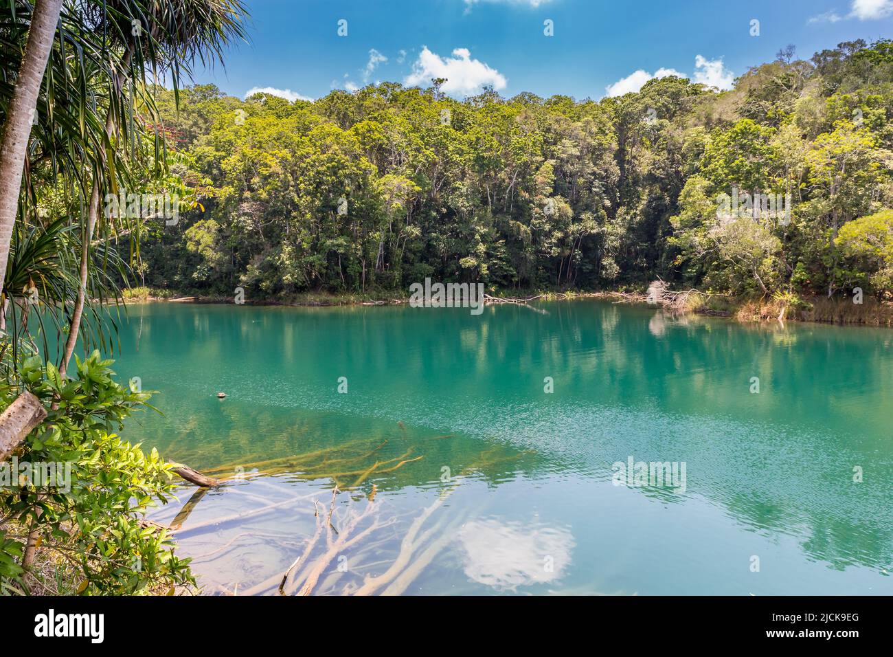 Lago Eacham con acqua verde scuro circondato da alberi, Queensland, Australia. Foto Stock