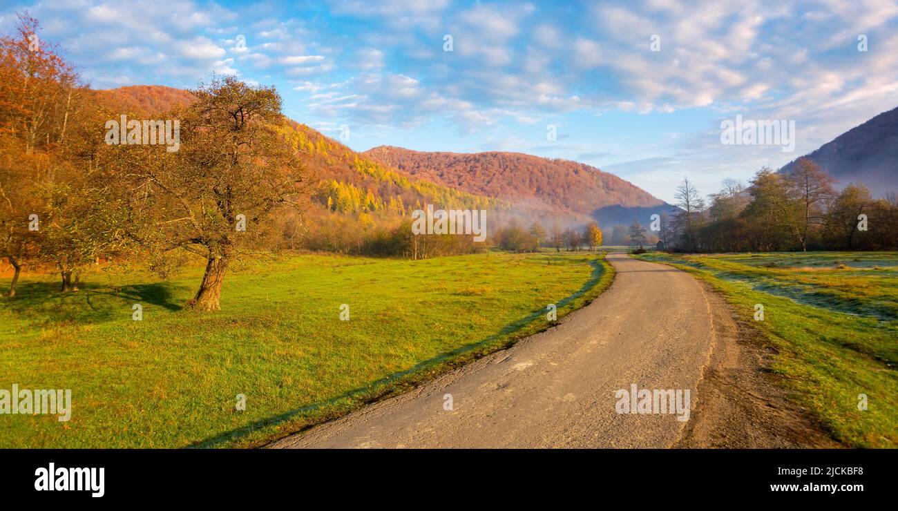 strada di campagna attraverso la valle rurale. bel paesaggio di montagna in una mattinata di nebbia. albero sul pascolo erboso. paesaggio naturale colorato con brigh Foto Stock