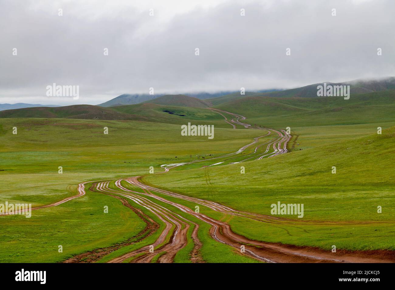 Strada sterrata a più corsie verso la nebbiosa collina della valle di Orkhon in Mongolia. Foto Stock
