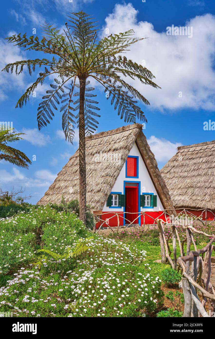 Palheiros casa tradizionale, Santana, Isola di Madeira, Portogallo Foto Stock
