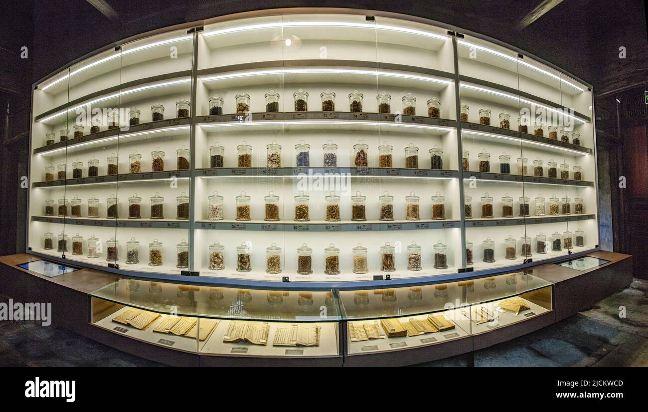 Zhejiang ningbo jiangbei CiCheng museo della città delle erbe tradizionali della medicina cinese, produttori di droga Foto Stock