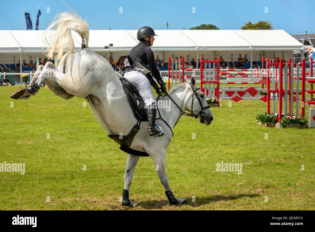 Wadebridge, Cornovaglia, Inghilterra. Sabato 11th Giugno 2022. Dopo un'assenza di due anni a causa di Covid, l'ultimo giorno del Royal Cornwall Show ha disegnato grande c Foto Stock