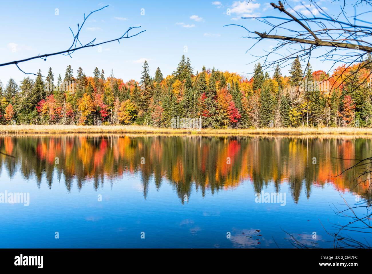 Gli alberi autunnali sul lago si riflettono in acqua in una giornata di sole Foto Stock