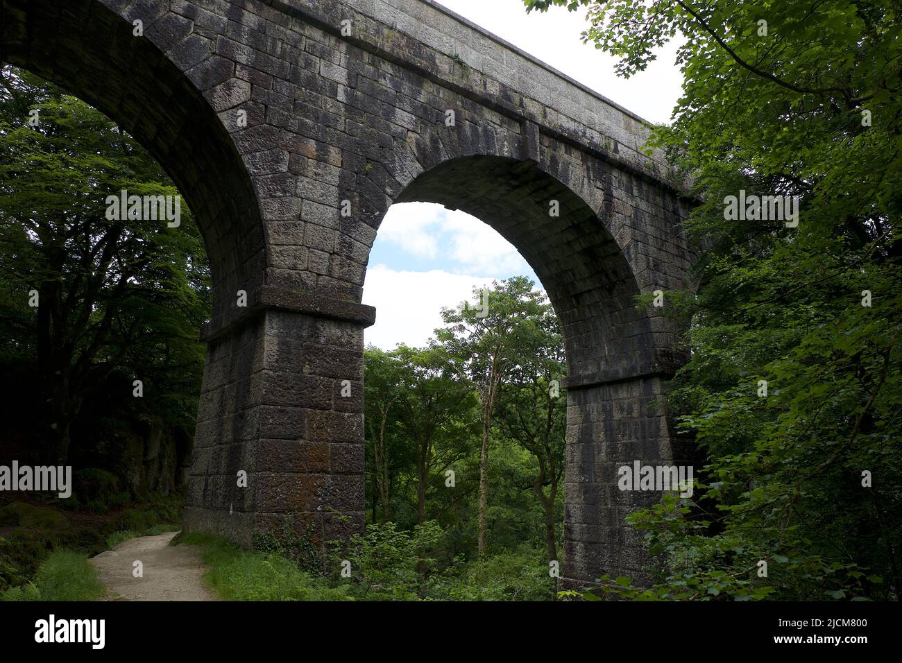 Treffry Viaduct 19th secolo resti industriali e patrimonio dell'umanità la valle Luxulyan o Glynn Gwernan Foto Stock