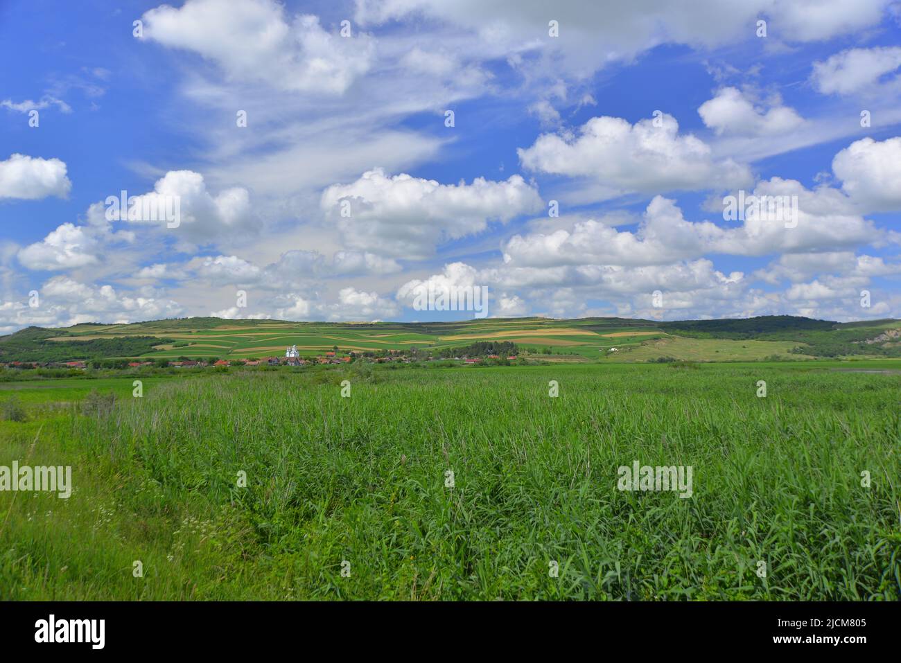 Cielo blu con nuvole di Cumulus e campi verdi Foto Stock