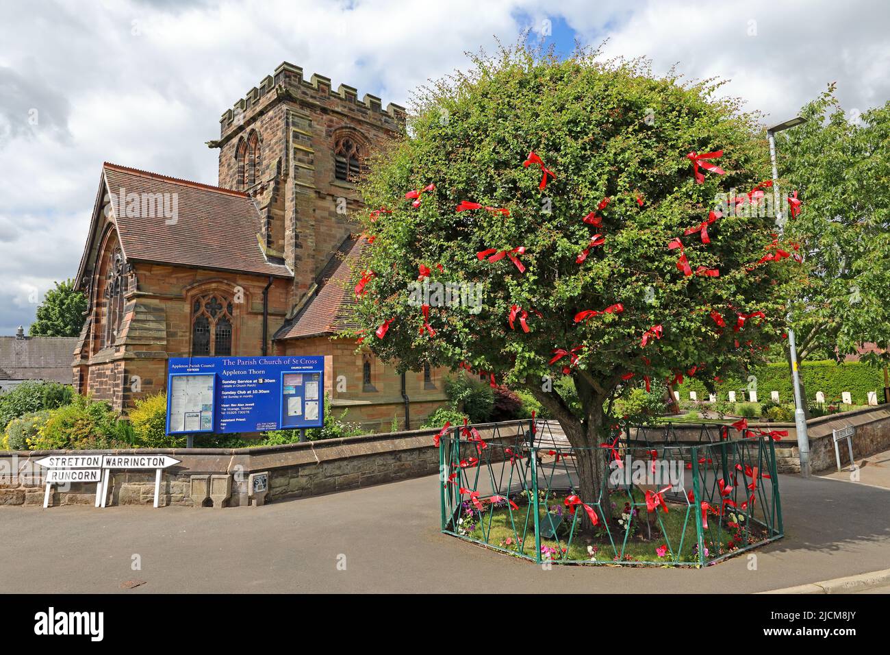 Chiesa di Santa Croce, e Dressed Thorn Tree per Bawming della cerimonia Thorn, Appleton Thorn, Warrington, Cheshire, Inghilterra, REGNO UNITO, WA4 4QU Foto Stock