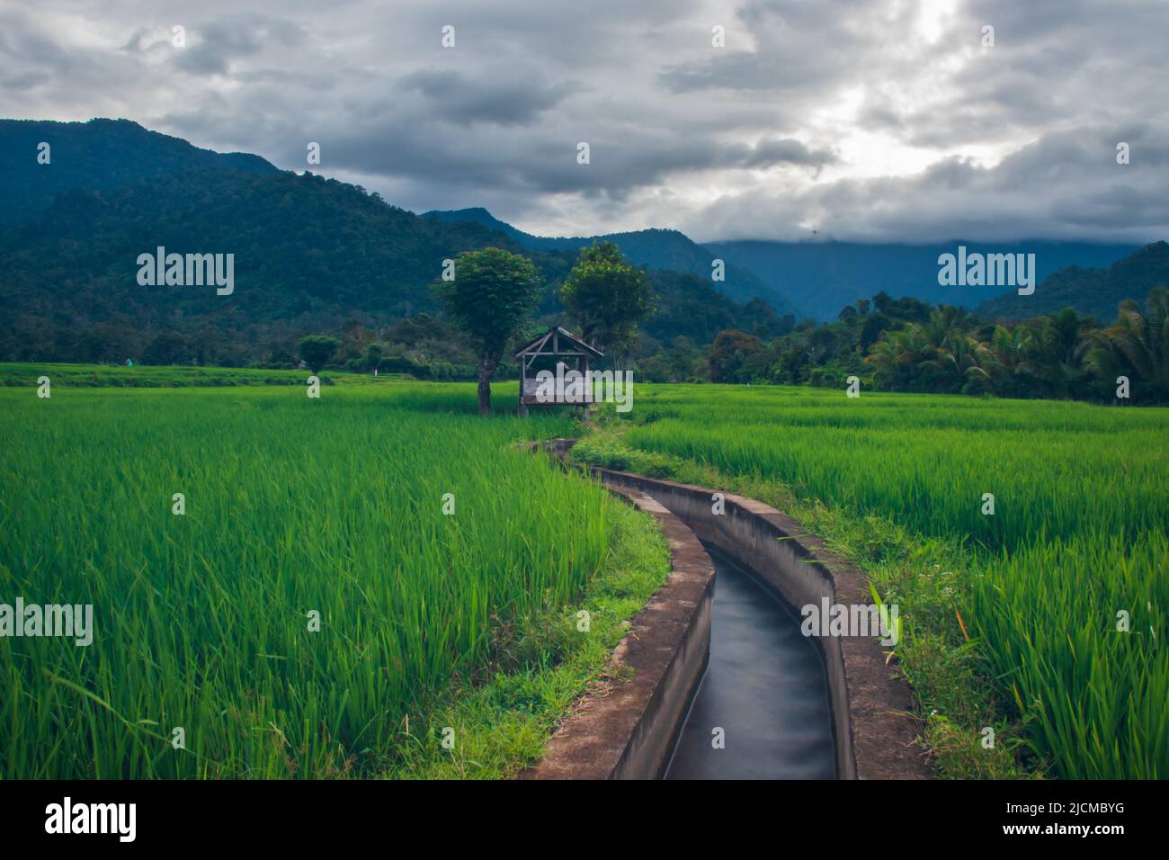 Foto di un cottage in campi di riso Lamsujen, Aceh, Indonesia. Foto Stock