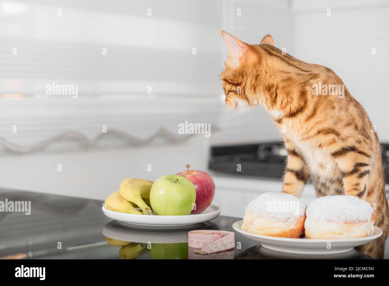 Il concetto di una dieta sana, la scelta di un gatto tra frutta sana e una ciambella ad alto contenuto calorico. Spazio di copia. Foto Stock