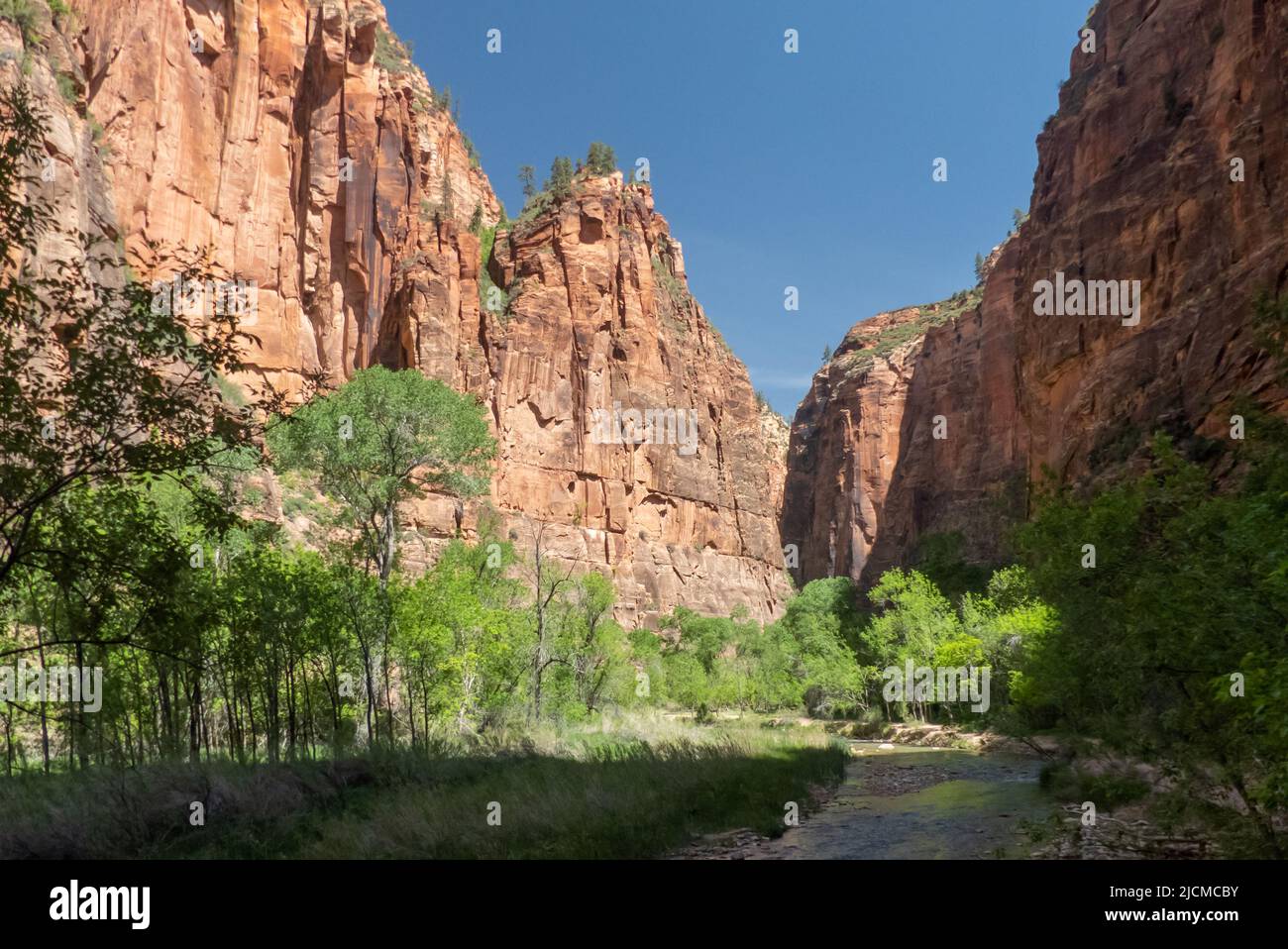 Zion NP in Utah, USA: Il canyon e il fiume Virgin. Foto Stock