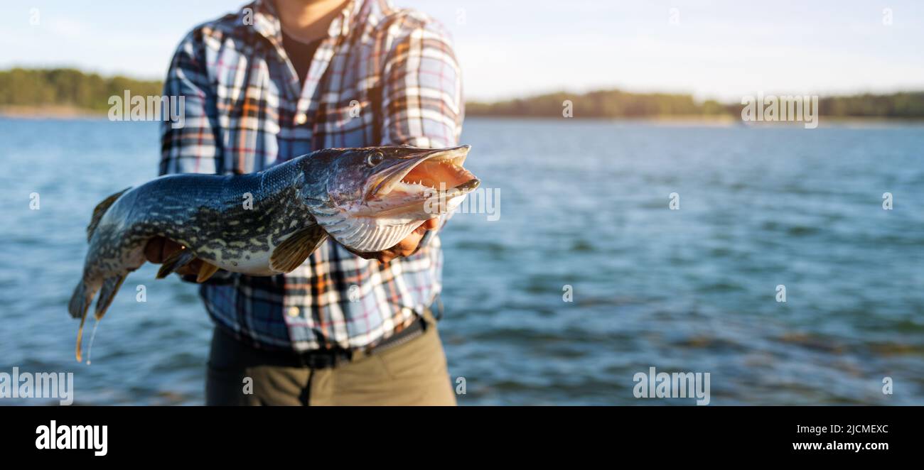 pescatore che tiene in mano grandi pesci luccio sullo sfondo del lago. banner con spazio copia Foto Stock