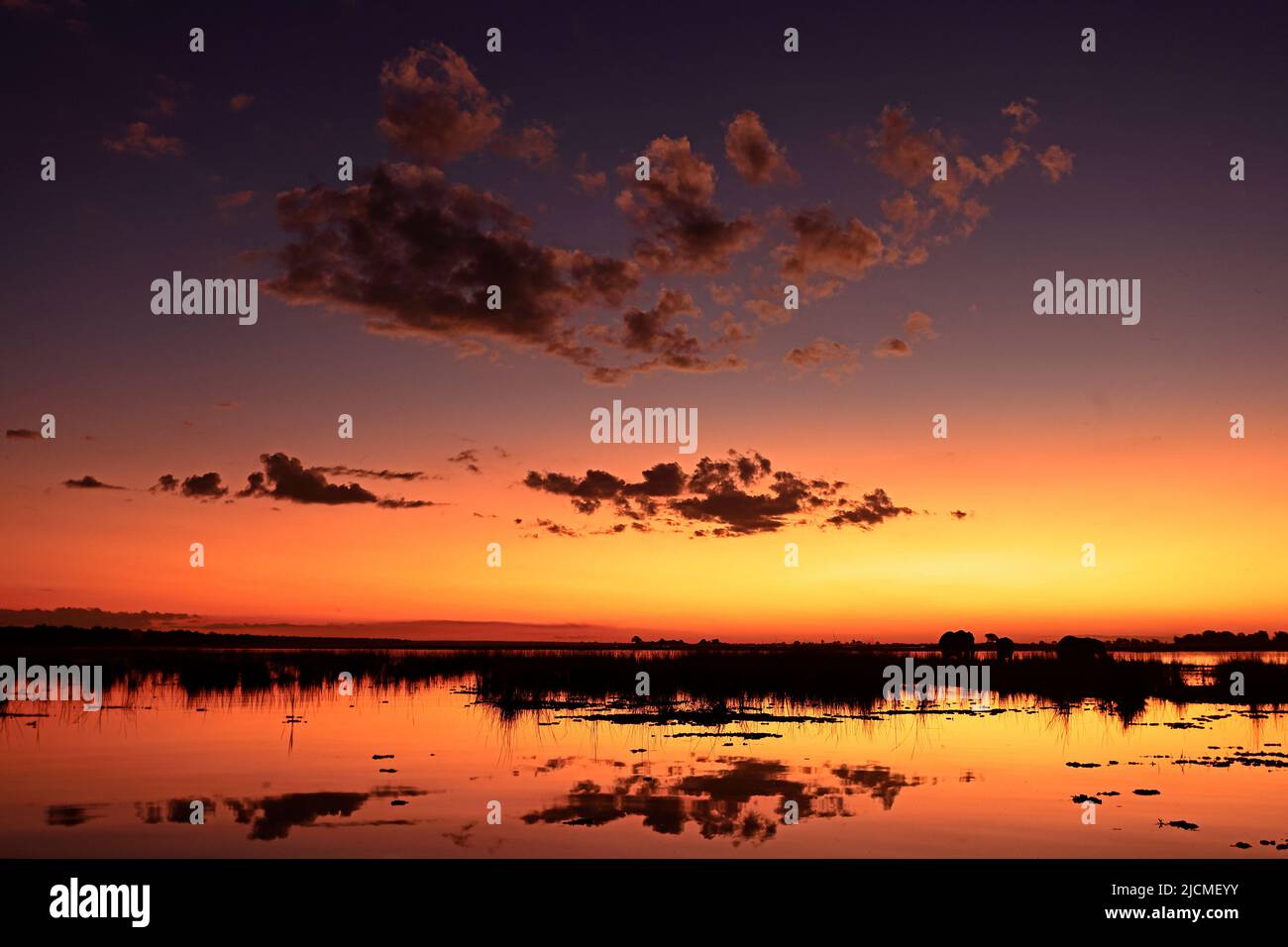 Tramonto sul fiume Chobe Botswana Foto Stock