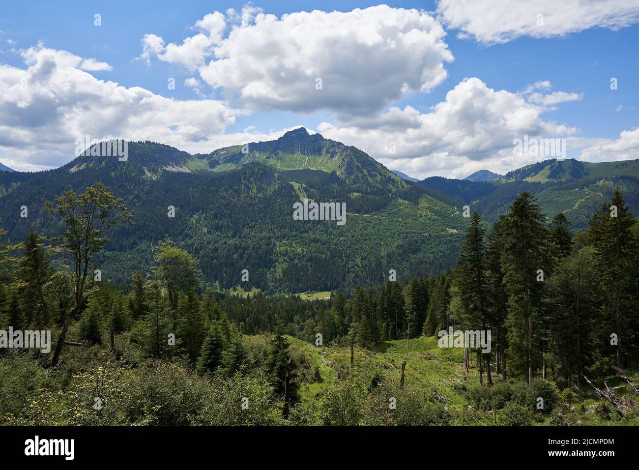 Montagne di Tannheim in Baviera, alto landform con molti alberi verdi, cielo blu con nuvole bianche e grigie, vista conduce verso la valle. Germania, Ostallg Foto Stock