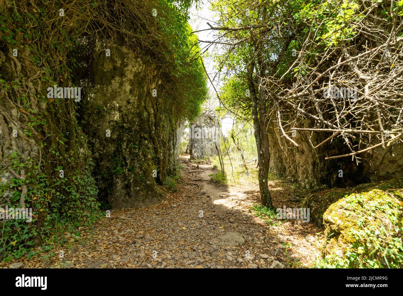 Ruta de los Callejones de las Majadas, Cuenca Castilla la Mancha España Foto Stock