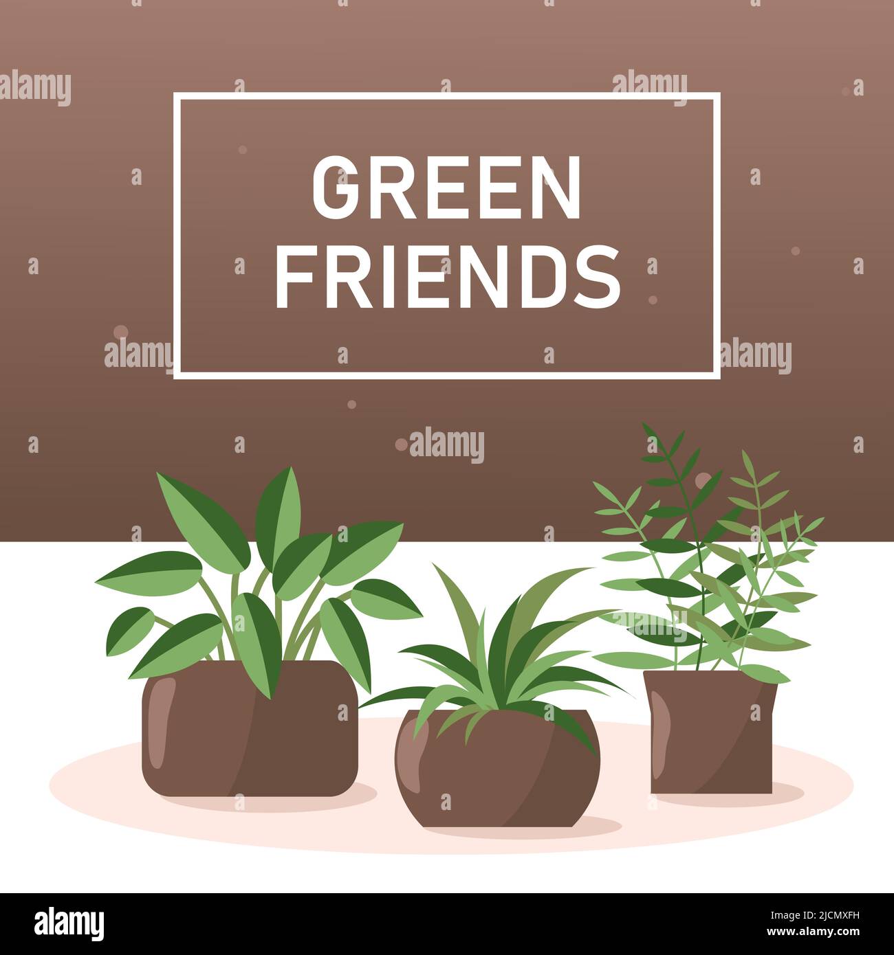 Set di piante di casa in flowerpot. Illustrazione vettoriale delle piante domestiche con spazio per il testo Illustrazione Vettoriale