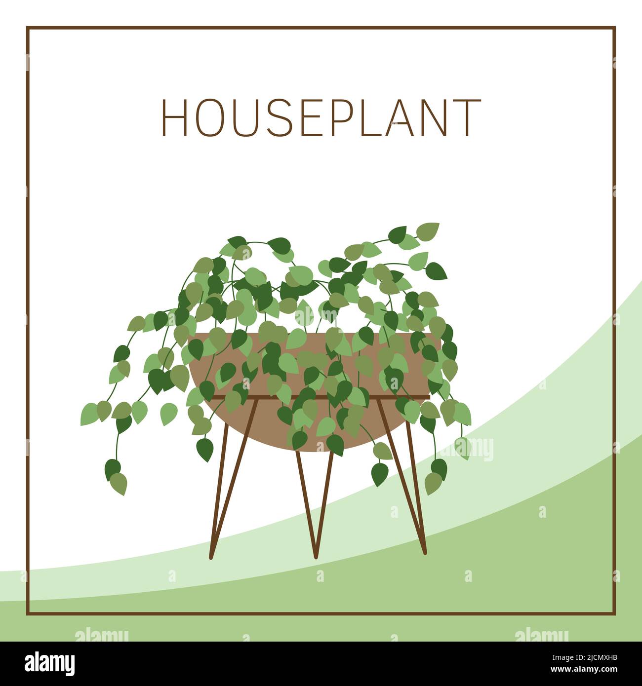 Illustrazione vettoriale delle piante domestiche con spazio per il testo. Piante di casa in flowerpot Illustrazione Vettoriale