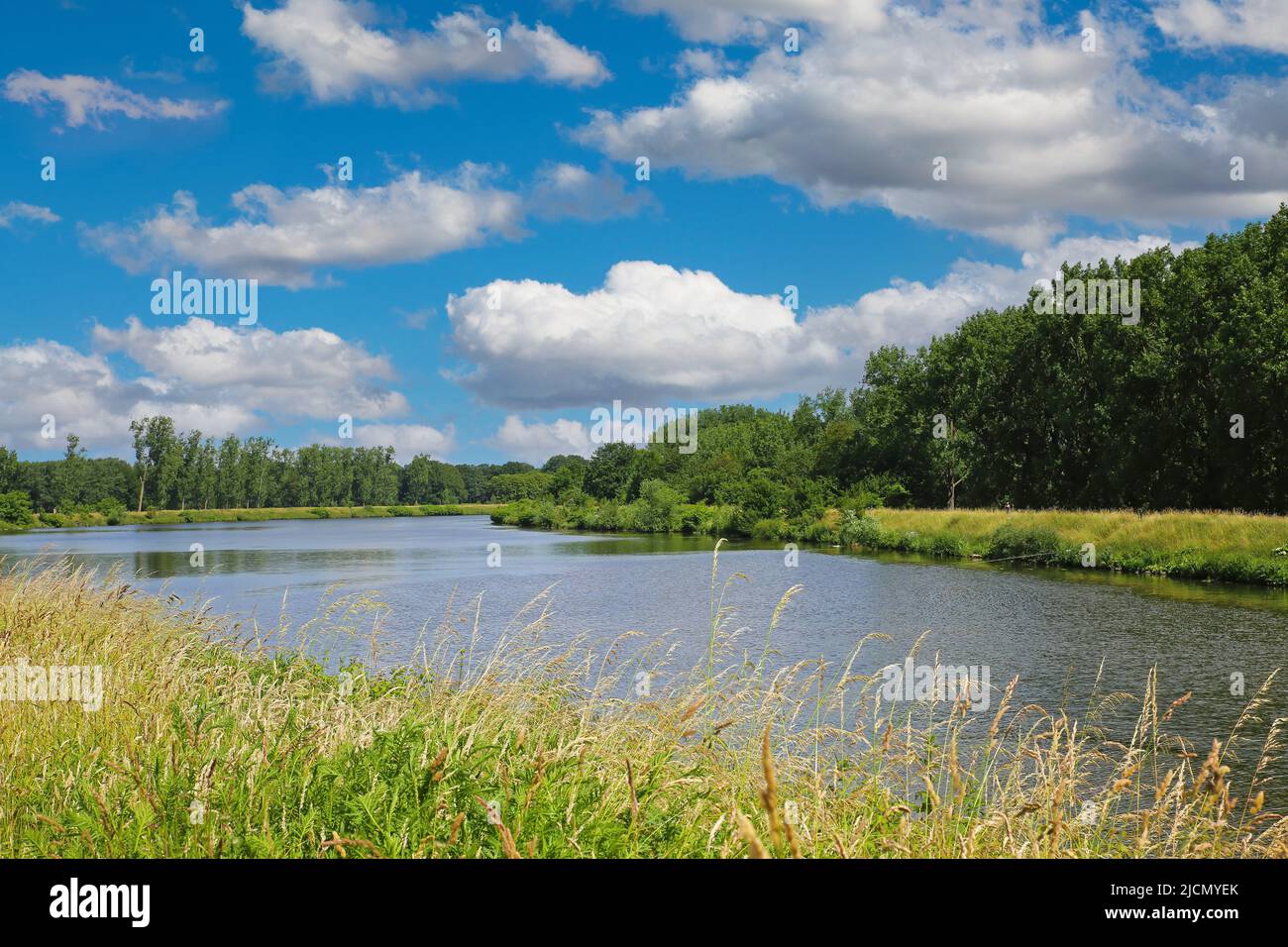Bella tranquilla campagna rurale olandese paesaggio, naturale curva corso del fiume Maas, foresta verde, blu cielo estivo - Maasvallei, Limburgo, Paesi Bassi Foto Stock