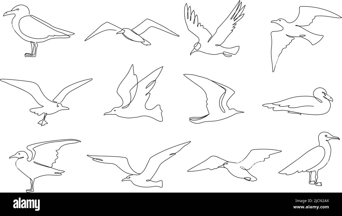 Gabbiani a una linea. Uccelli marini volanti, uccelli nautici e animali da spiaggia linea continua vettore illustrazione set Illustrazione Vettoriale