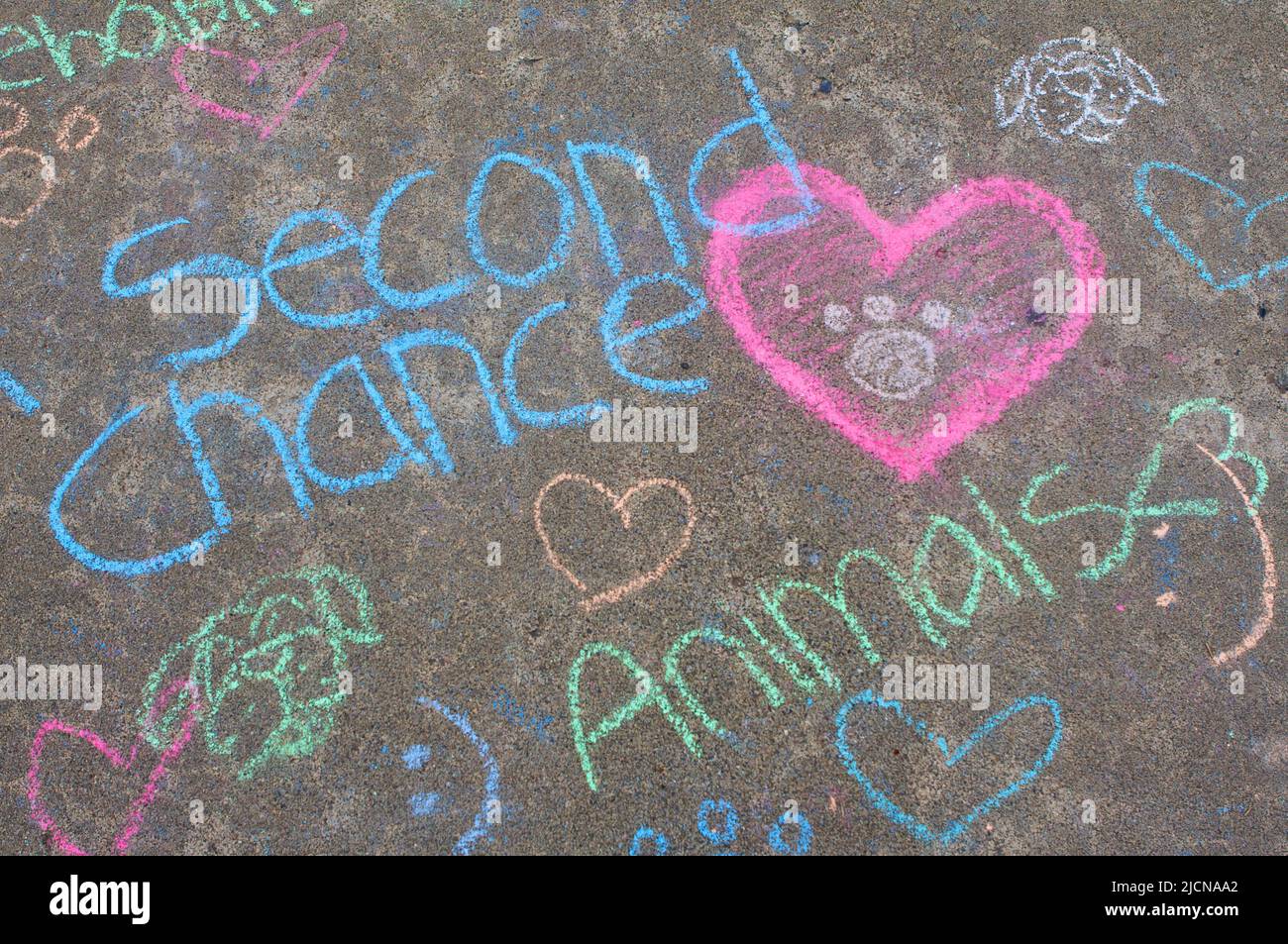 Chalk art writing e immagini create da bambini al campo estivo di agosto della Kitsap Humane Society. Foto Stock
