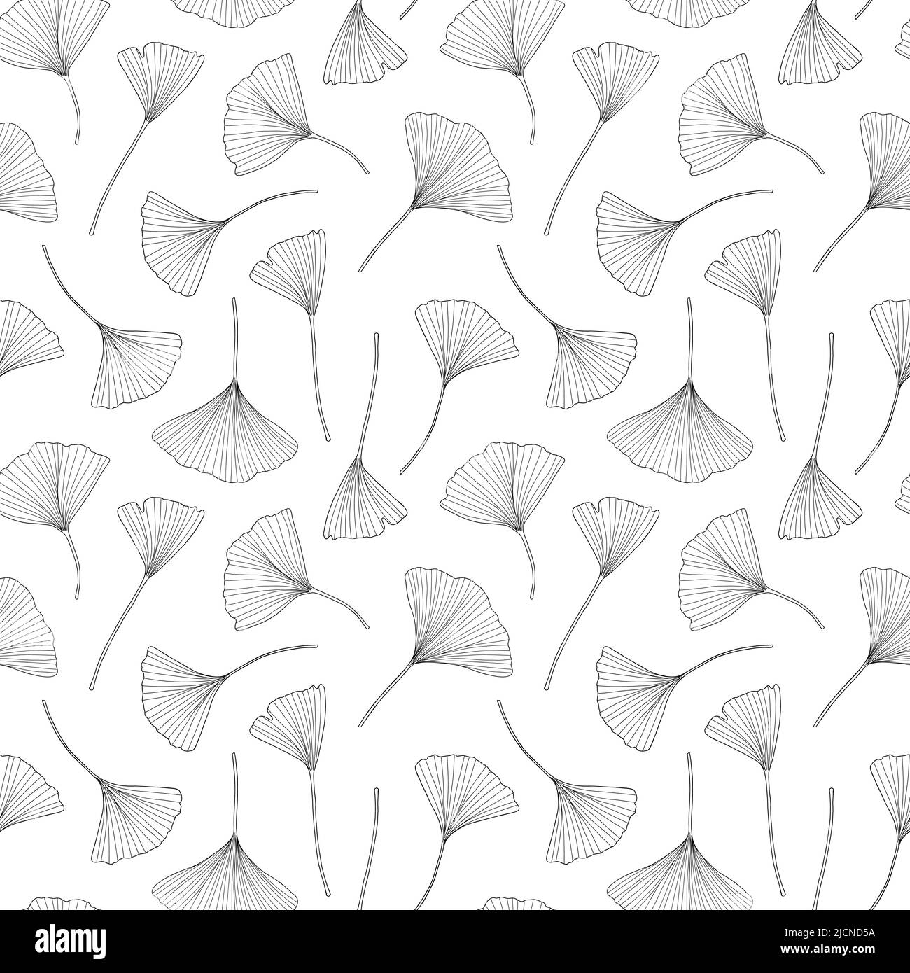 Foglie di ginkgo fresco senza cuciture motivo bianco e nero contorno disegno a mano vettore illustrazione, floreale medicinale organico dettagliata pianta, simbolo culturale giapponese, eco-friendly ambiente concetto Illustrazione Vettoriale