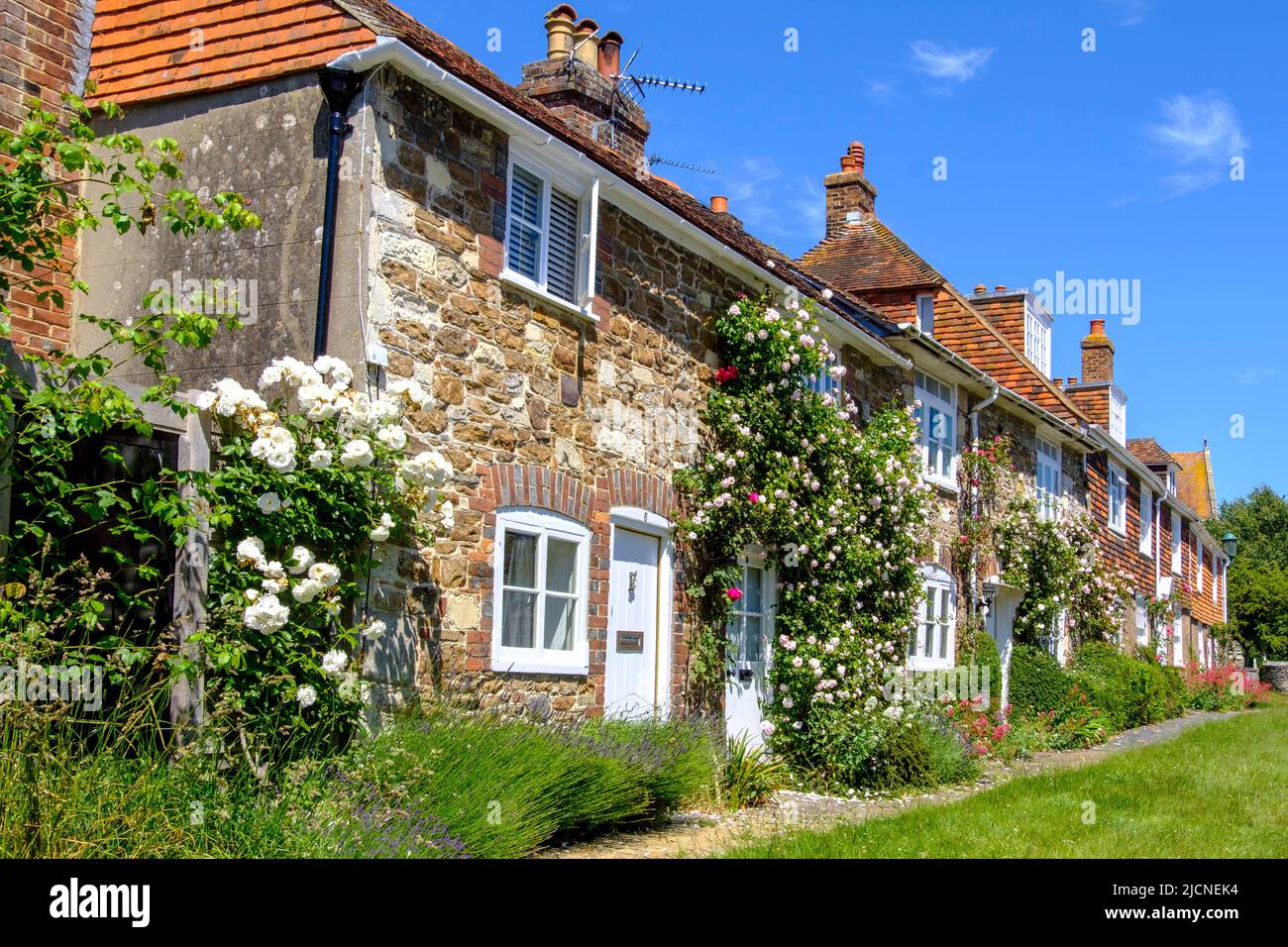 Graziosi cottage ricoperti di rosa, Winchelsea, East Sussex, UK Foto Stock