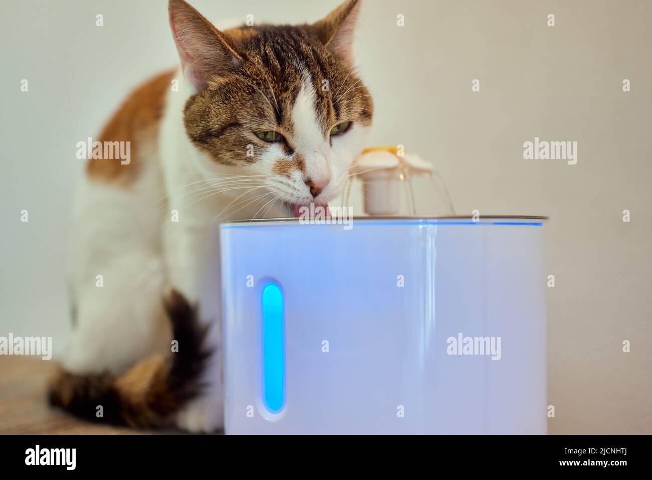 Dispenser di acqua in PET con riempimento a gravità automatico Foto Stock