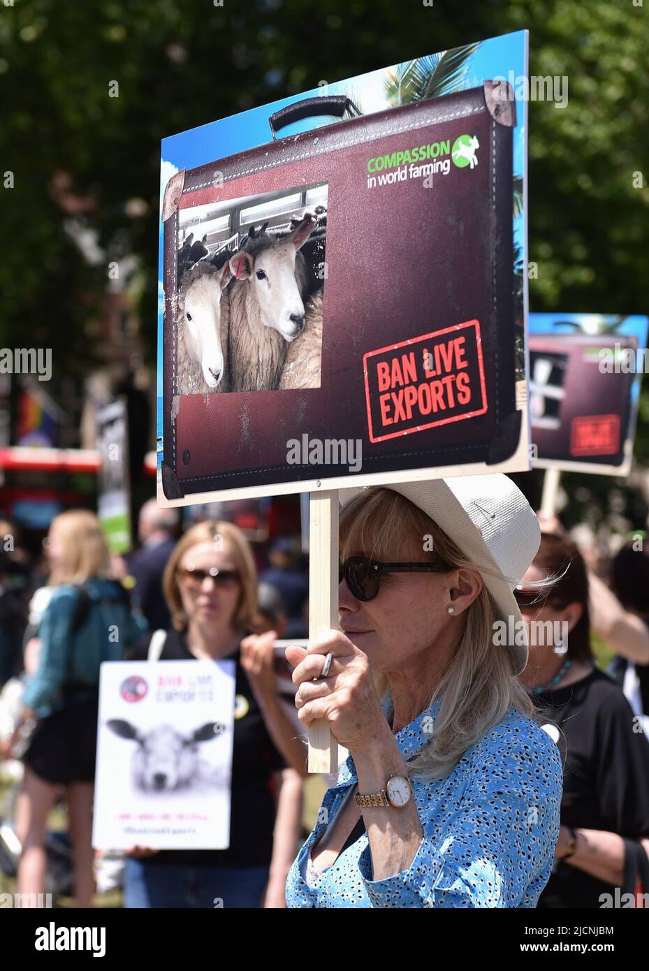 Gli attivisti hanno protestato in Piazza del Parlamento per chiedere al governo britannico di porre fine alle esportazioni di animali vivi. Foto Stock