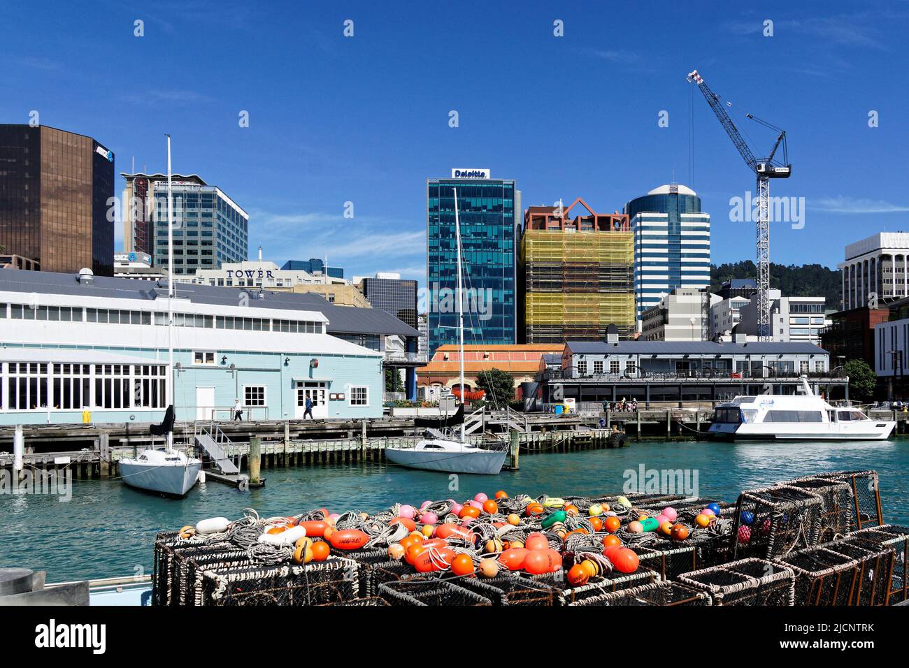 Wellington, Aotearoa / Nuova Zelanda - 5 dicembre 2015: Il quartiere centrale degli affari visto dal lungomare. Foto Stock