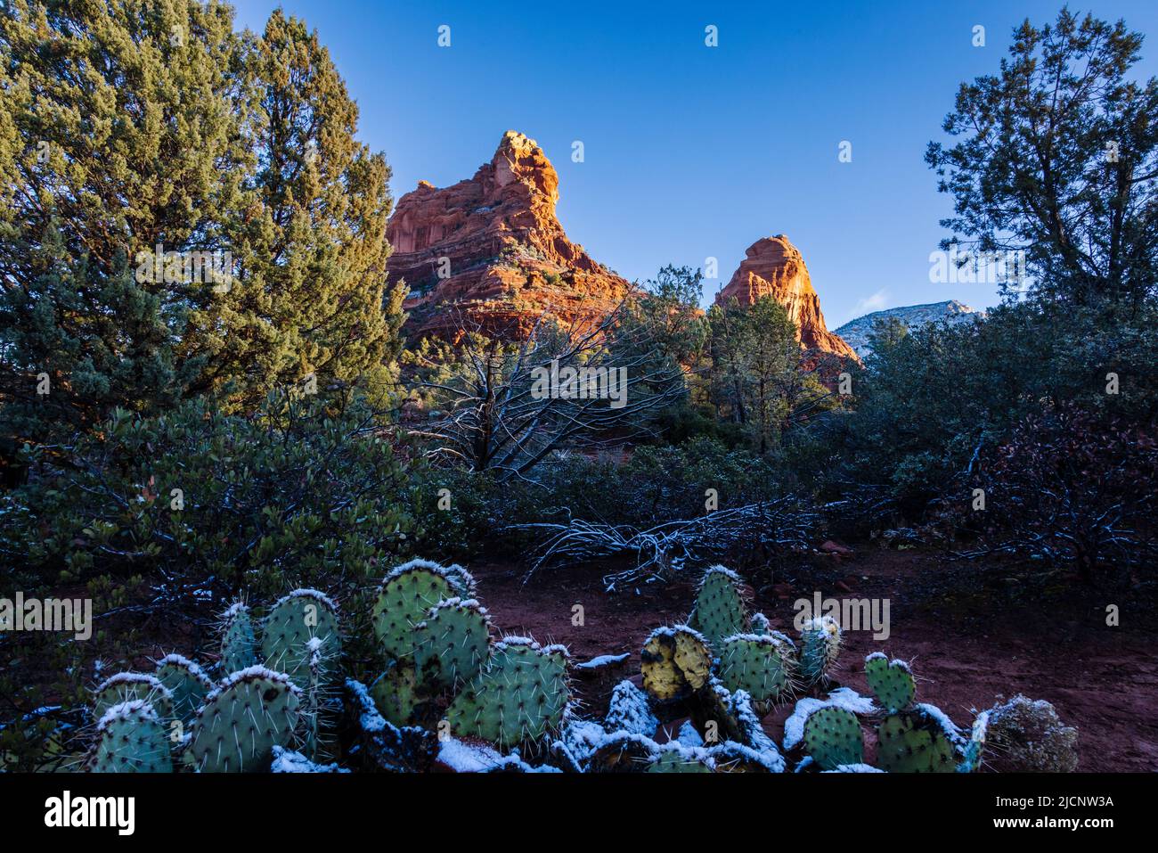 La prima luce del mattino dell'inverno rivela maestose formazioni nel paesaggio di Sedona, Arizona. Foto Stock