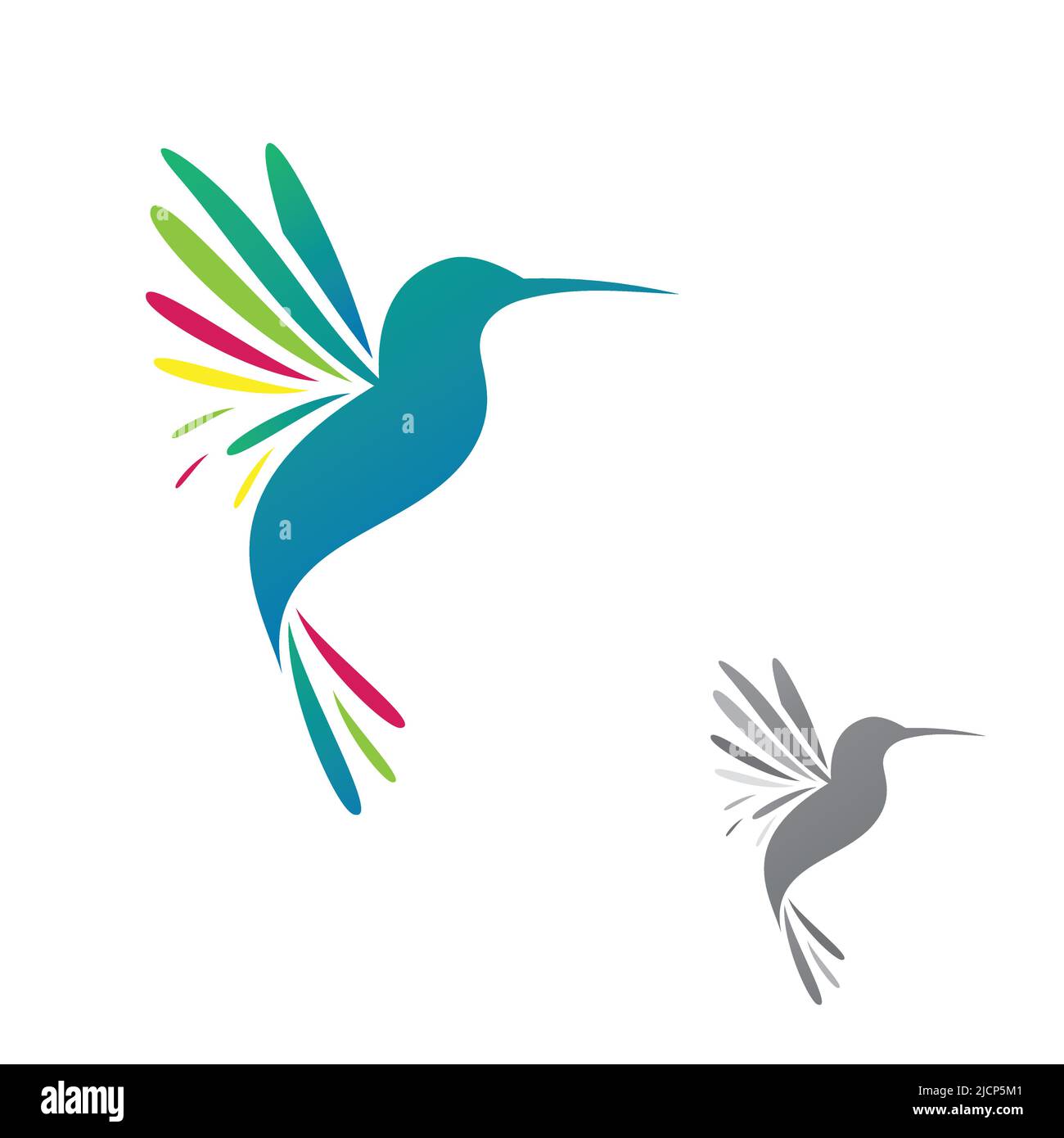 Hummingbird su sfondo bianco isolato. Illustrazione vettoriale EPS.8 EPS.10 Illustrazione Vettoriale