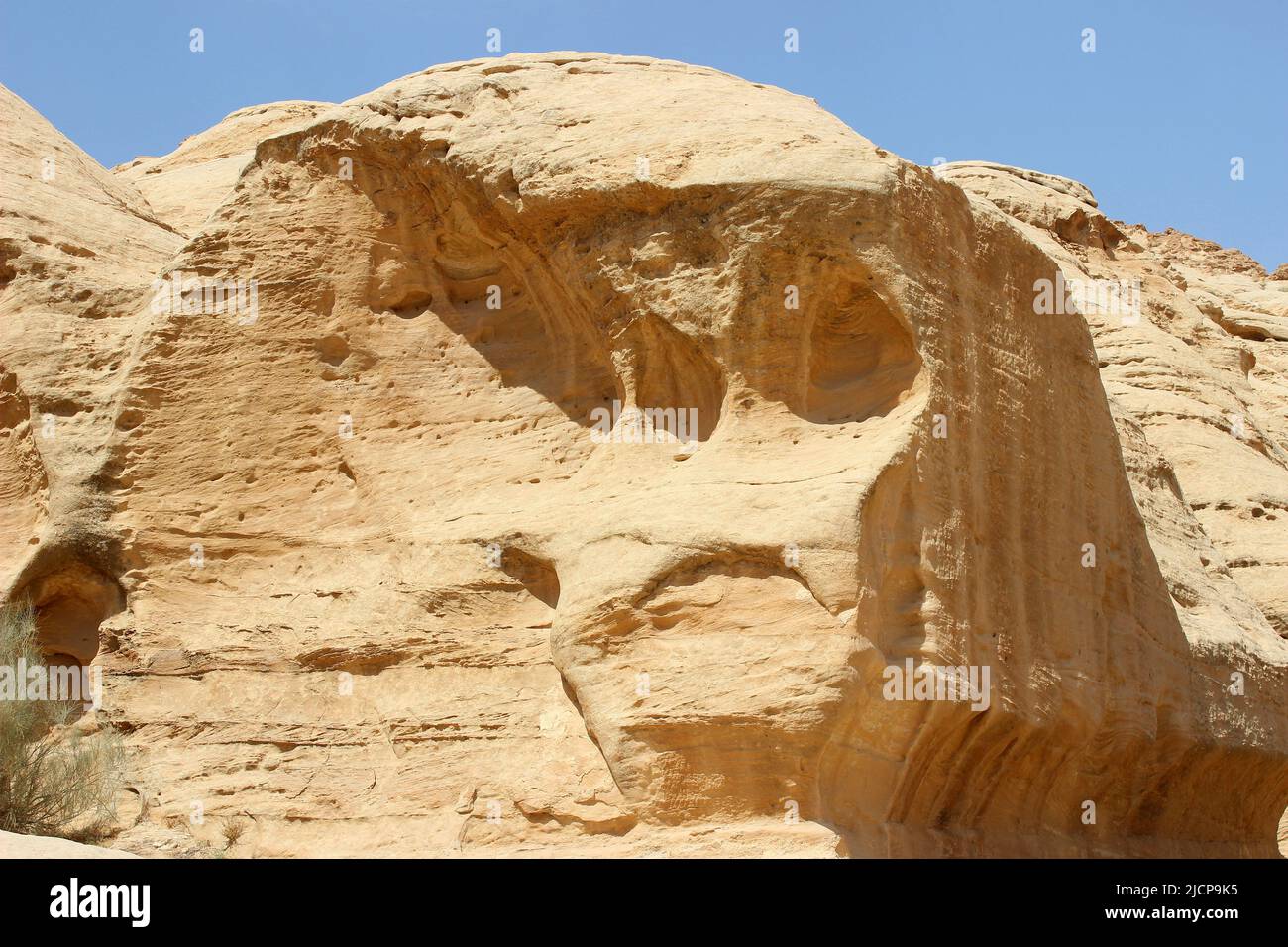 Pietra arenaria con intemperie a forma di teschio, Petra Jordan Foto Stock