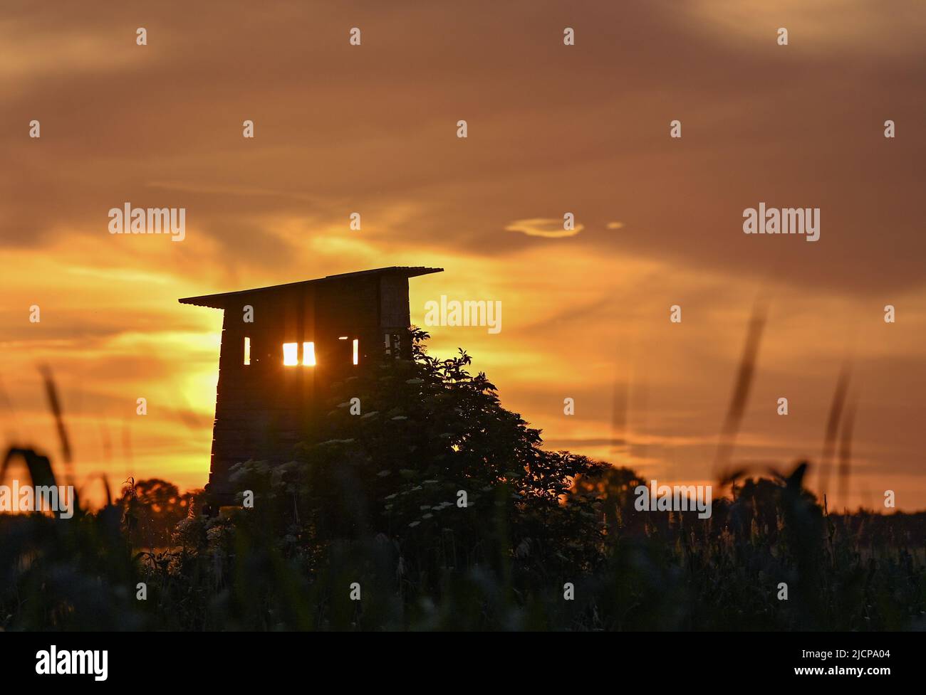 Jacobsdorf, Germania. 14th giugno 2022. Il cielo risplende coloramente al tramonto dietro un alto stand per cacciatori ai margini di un campo nella parte orientale dello stato di Brandeburgo. La gente di Berlino e Brandeburgo può guardare con ansia una calda giornata estiva con un sacco di sole. Sotto l'influenza di un'area ad alta pressione, le temperature aumenteranno di nuovo il mercoledì fino a 28 gradi, il servizio meteo tedesco (DWD) riportato. Credit: Patrick Pleul/dpa/Alamy Live News Foto Stock