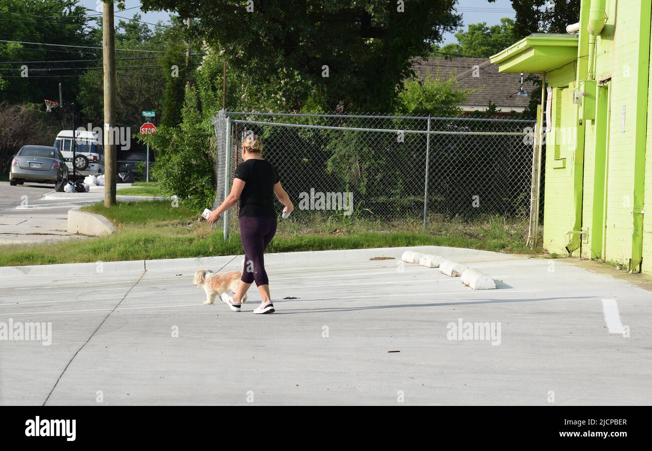 Donna ispanica, tenendo il suo telefono, mentre cammina il suo cane Foto Stock