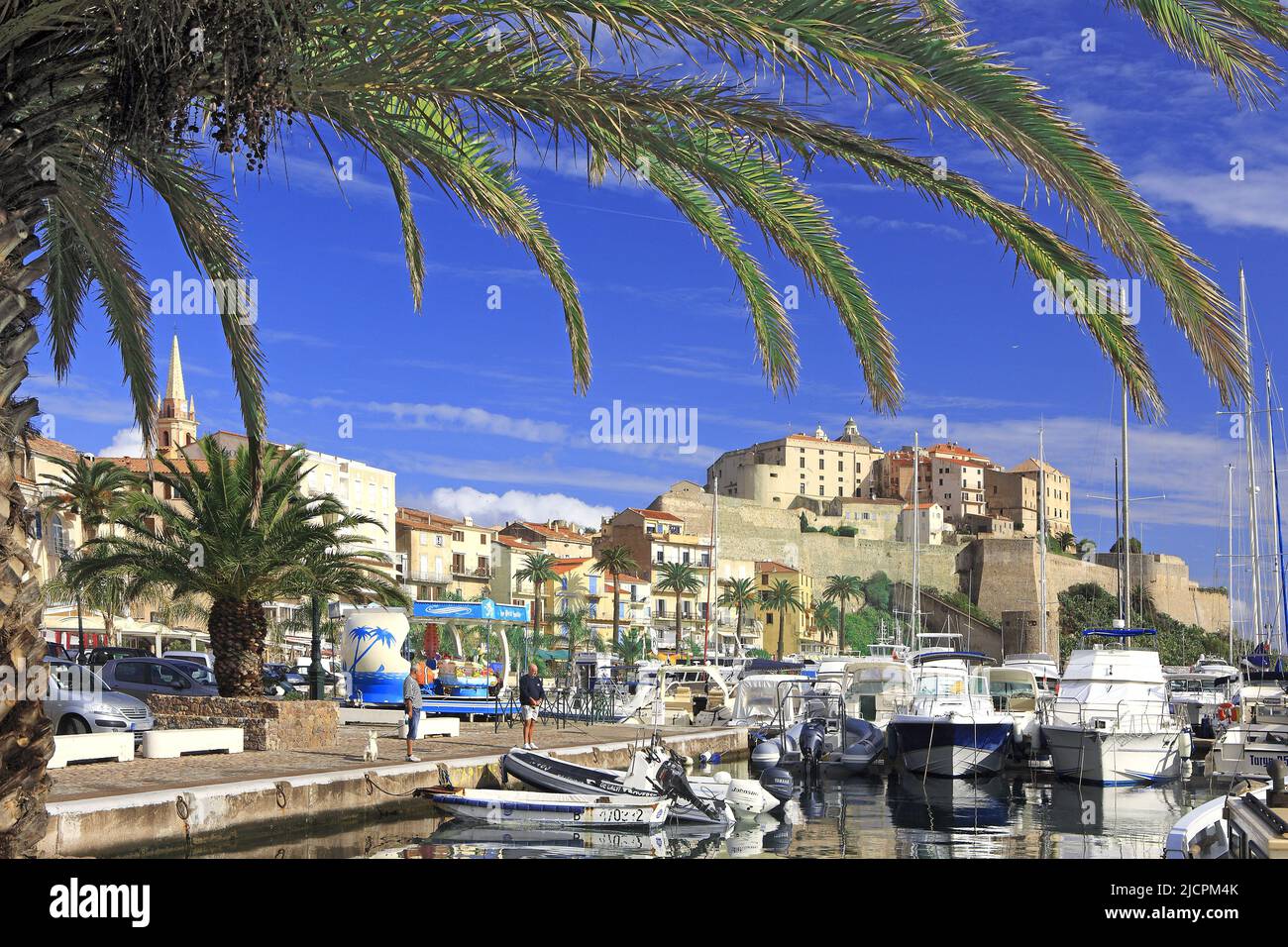 Francia, Corsica Calvi, la città alta dal porto turistico Foto Stock