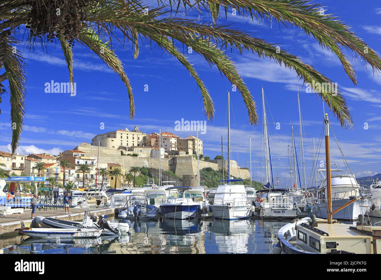Francia, Corsica Calvi, la città alta dal porto turistico Foto Stock