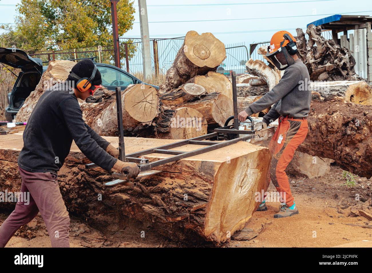 Tronco di albero di taglio Lumberjack con sega a catena gigante per fare  tavole di legno Foto stock - Alamy
