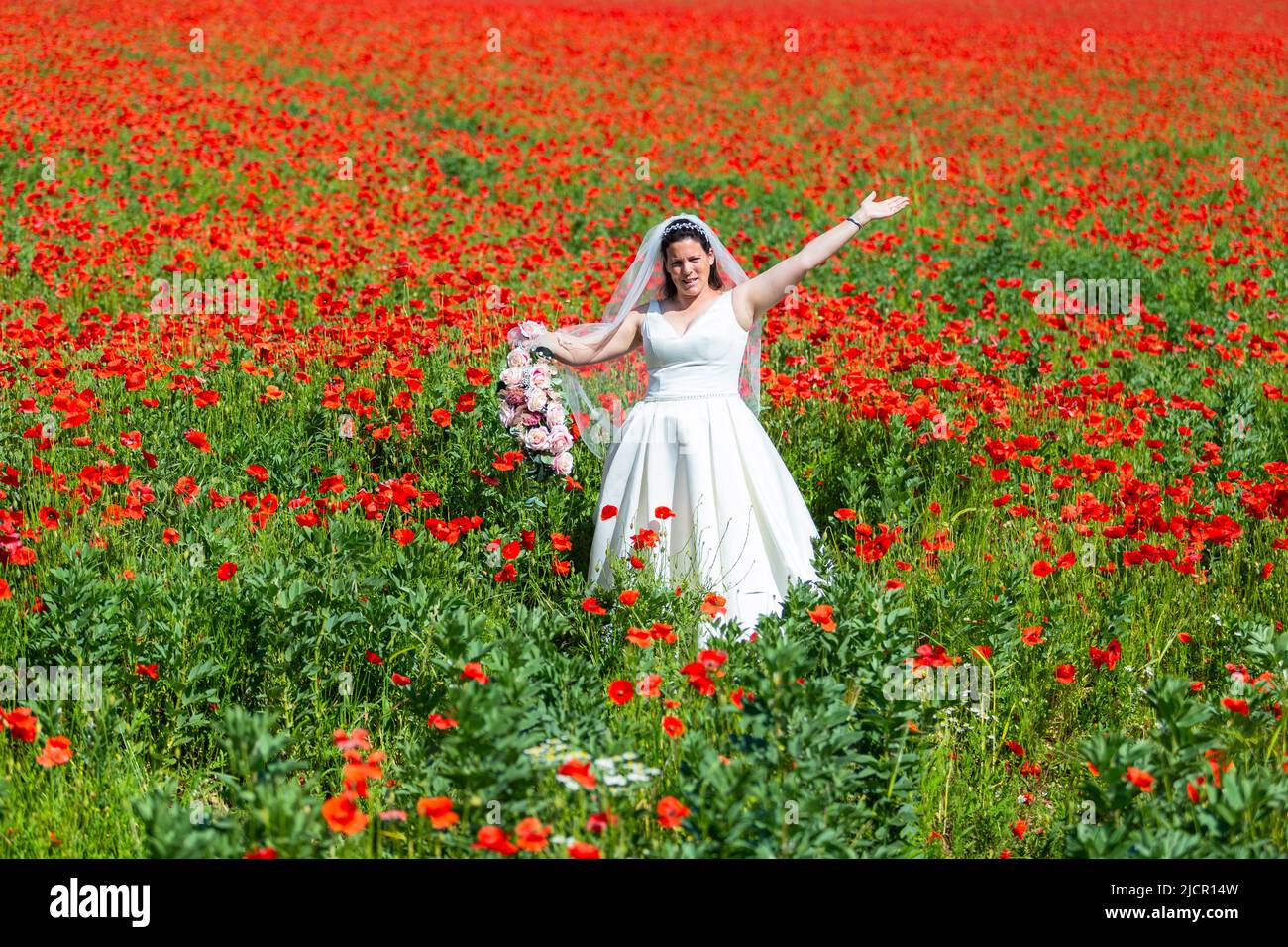 Sposa in abito da sposa bianco in un campo di papavero, UK 2022 Foto Stock