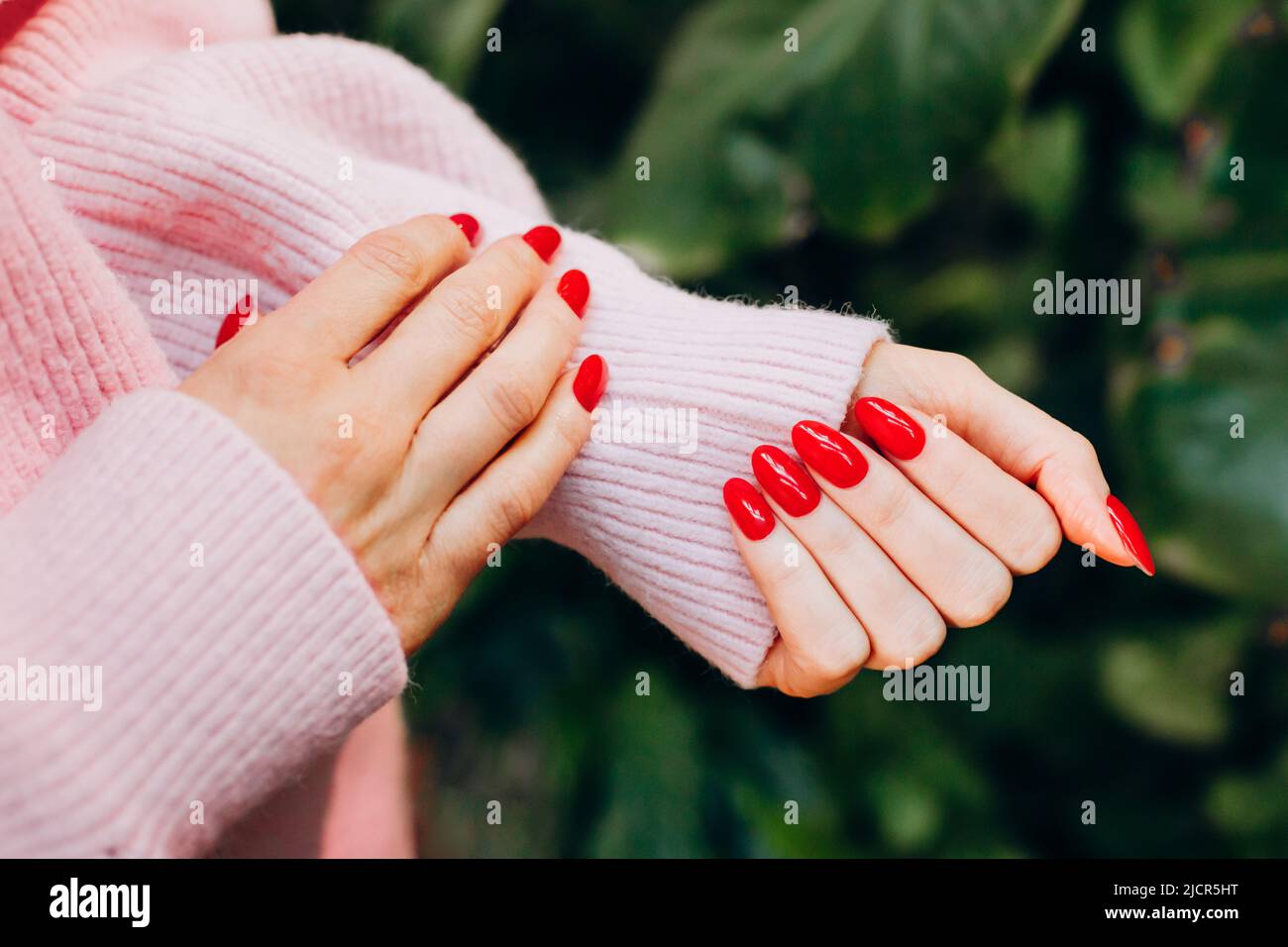 Mani femminili con unghie rosse e maglione rosa di lana su sfondo verde. Manicure rossa, closeup.к Foto Stock