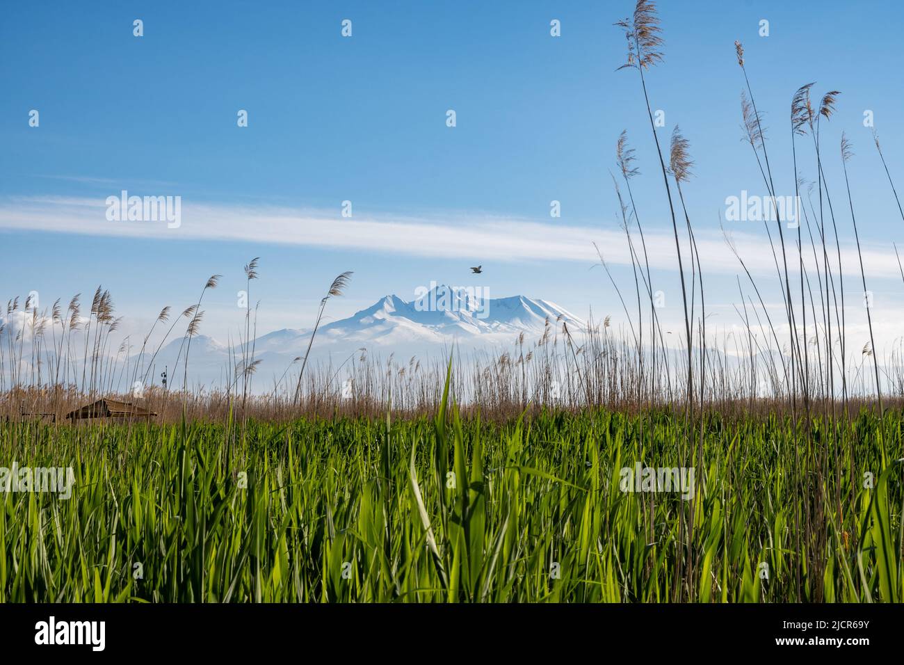 Parco Nazionale dei Sultansazligi, o le paludi del Sultano, con il vulcano Erciyes sullo sfondo. Kayseri, Türkiye. Foto Stock