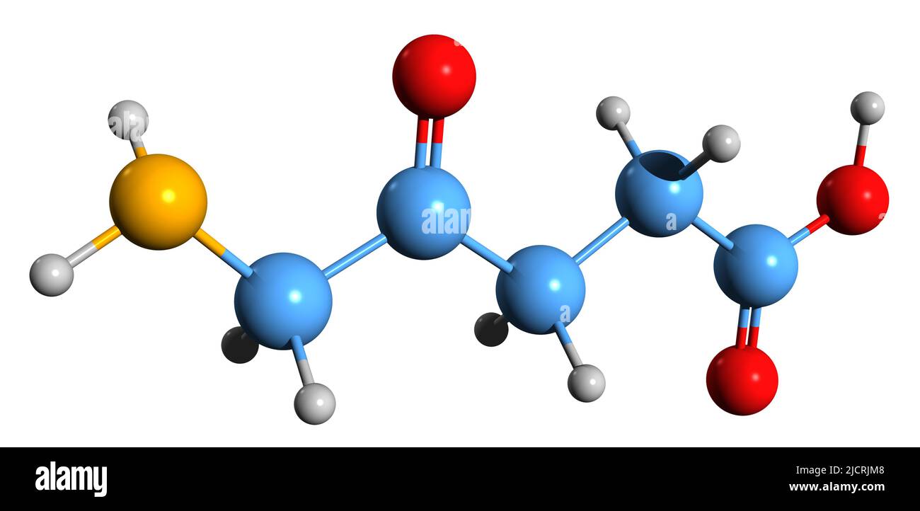 3D immagine dell'acido aminolevulinico formula scheletrica - struttura chimica molecolare dell'amminoacido non proteinogeno isolato su sfondo bianco Foto Stock